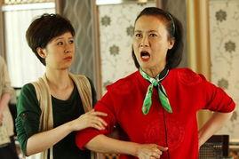 媳妇的美好时代 电视剧,现代都市女性的情感与成长之旅