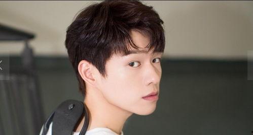 娱乐吃瓜菌王晨正,娱乐吃瓜菌王的崛起之路